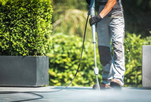 Best Dumpster Area Cleaning  in Carle Place, NY