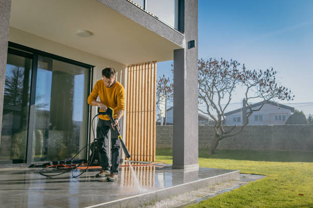 Best Fence Cleaning  in Carle Place, NY