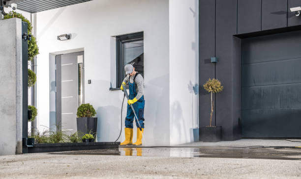 Best Soft Washing  in Carle Place, NY